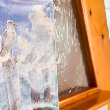 Di Sole E Dazzurro By Ca-sa Check *